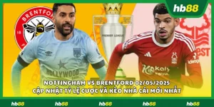 Nottingham vs Brentford 1 11zon