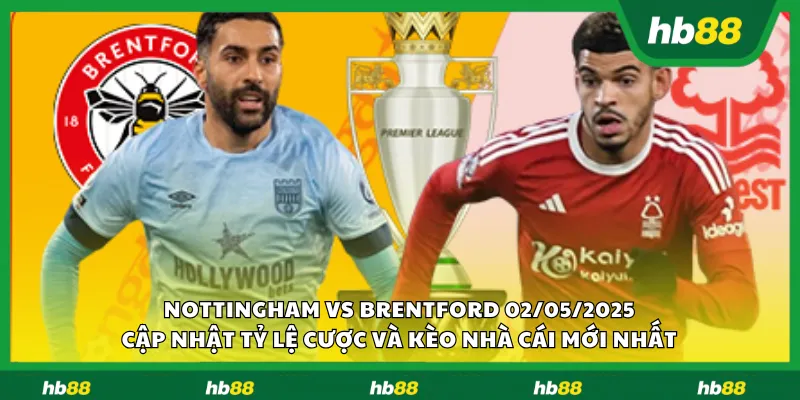 Nottingham vs Brentford 1 11zon